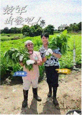 行业题材观察配图